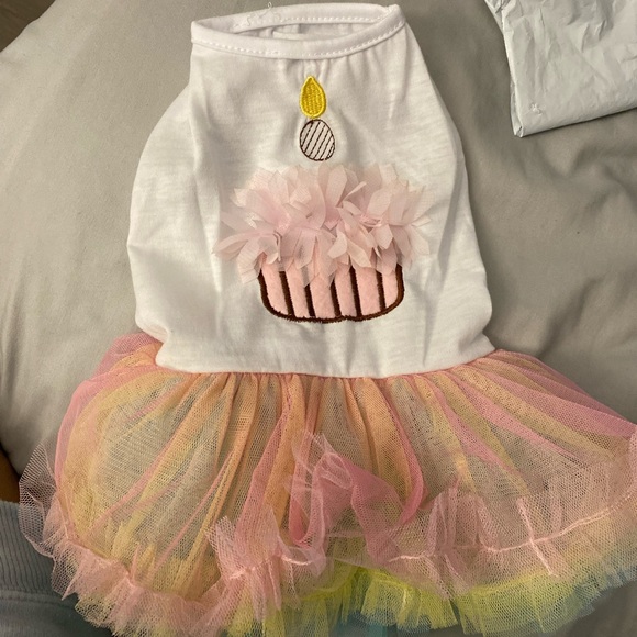 Birthday pet dress
